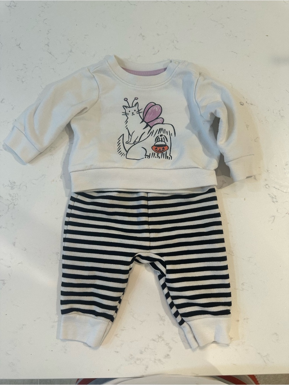Cat & Jack Halloween outfit